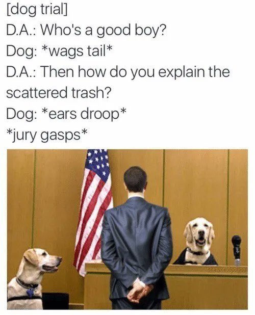Doggo Tweets tweet media