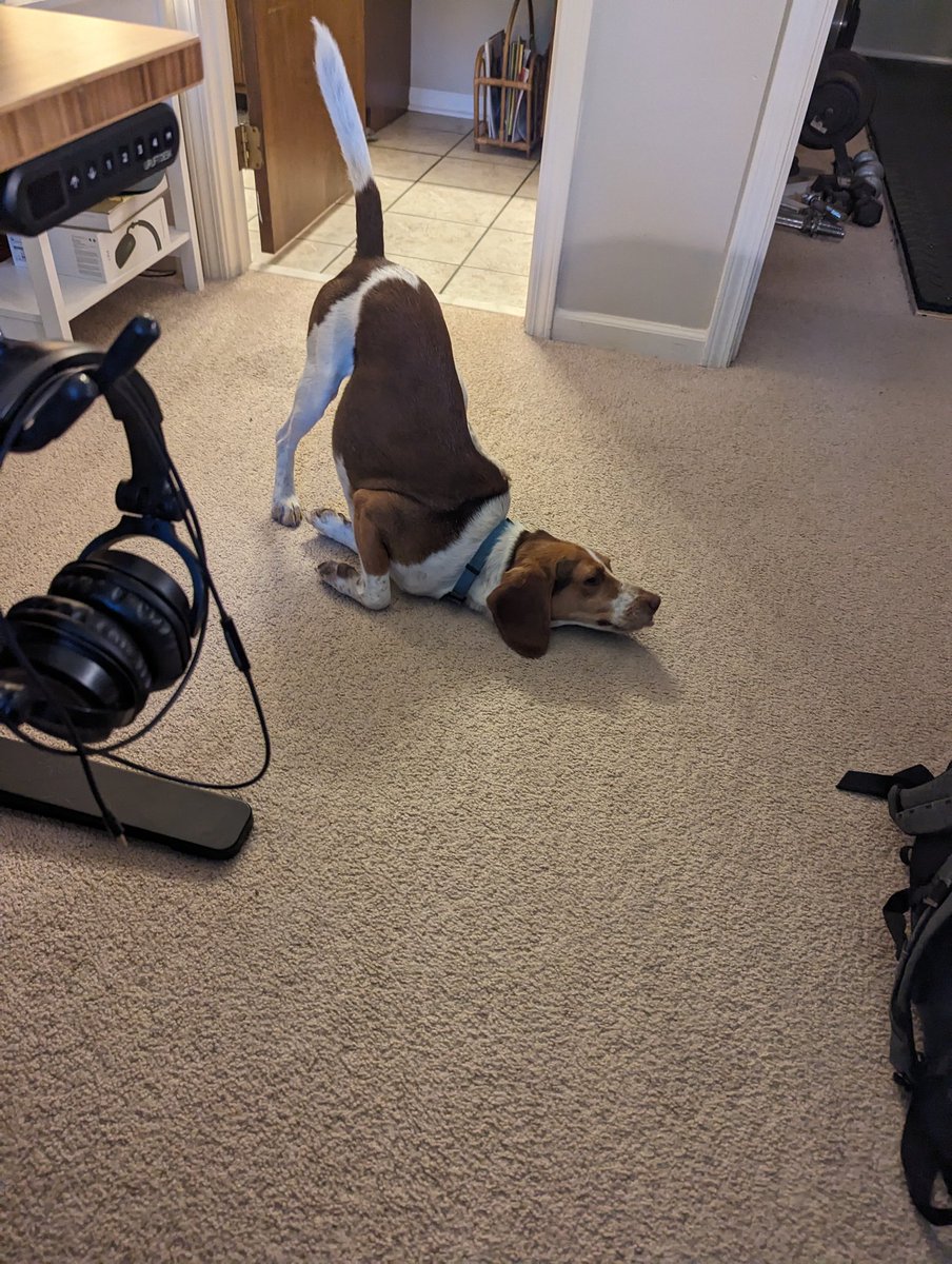 Ken Nalbone tweet media