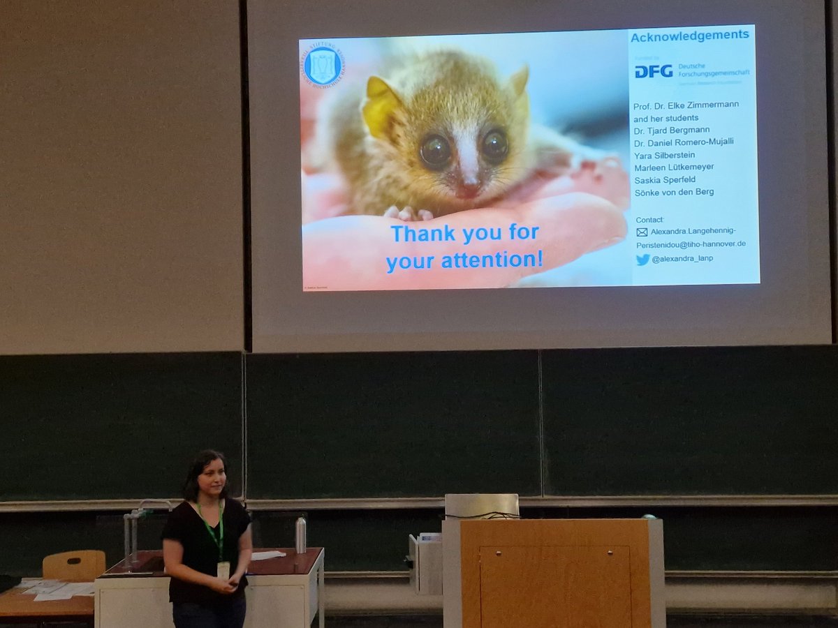A big thank you to everyone coming to my #Behaviour2023 talk yesterday! If you missed it but want to chat about bioacoustics, babbling or vocal accommodation in grey mouse lemurs come find me or sent me an e-mail! 🐒