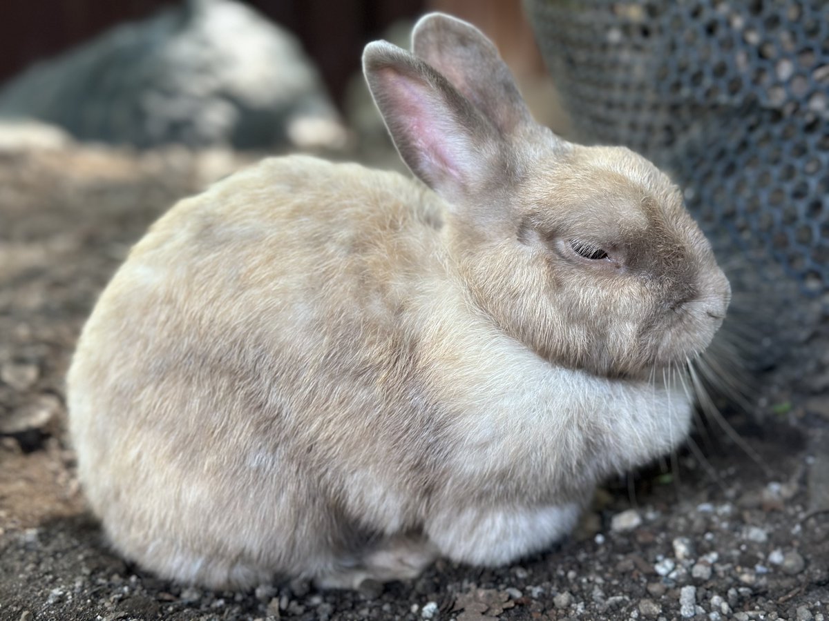 as (@aspoyonn) on Twitter photo 