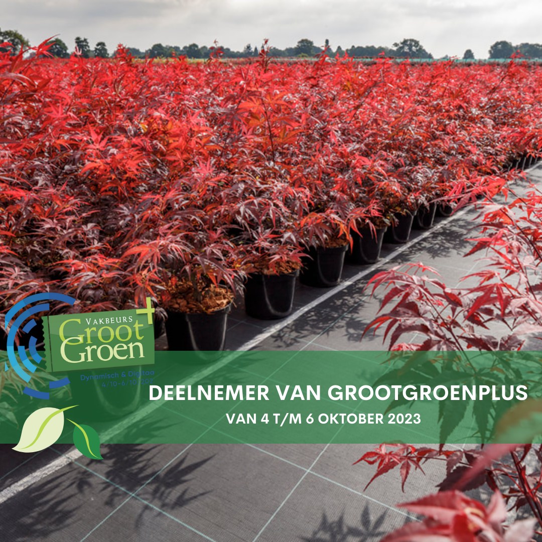 grootgroenplus's tweet photo. J. Bevers & Zn, neemt deel aan vakbeurs GrootGroenPlus 2023 in Zundert! 🍃💚
Meer info? 👉🏼 https://t.co/AtOH1fYLVK
#GrootGroenPlus #GGP #GrootGroen #JBevers #potcultuur #tuinplanten https://t.co/CWDwSXdYQN