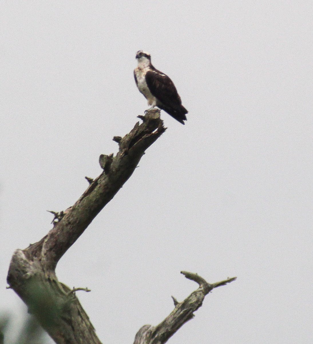 TF . PHOTOGRAPHY tweet media