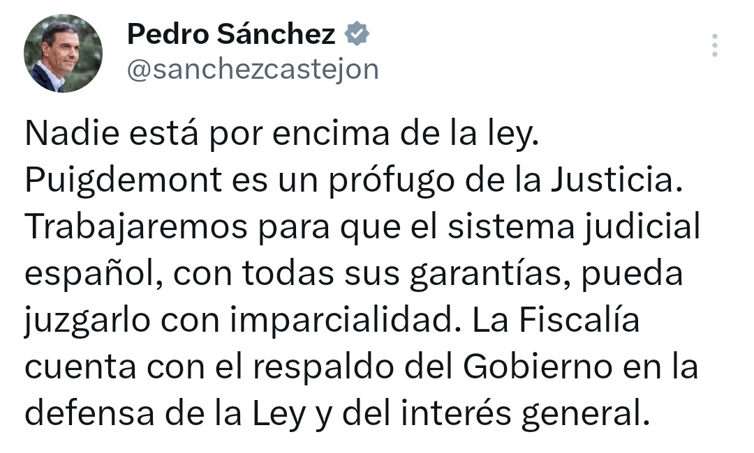Willy Tolerdo tweet media