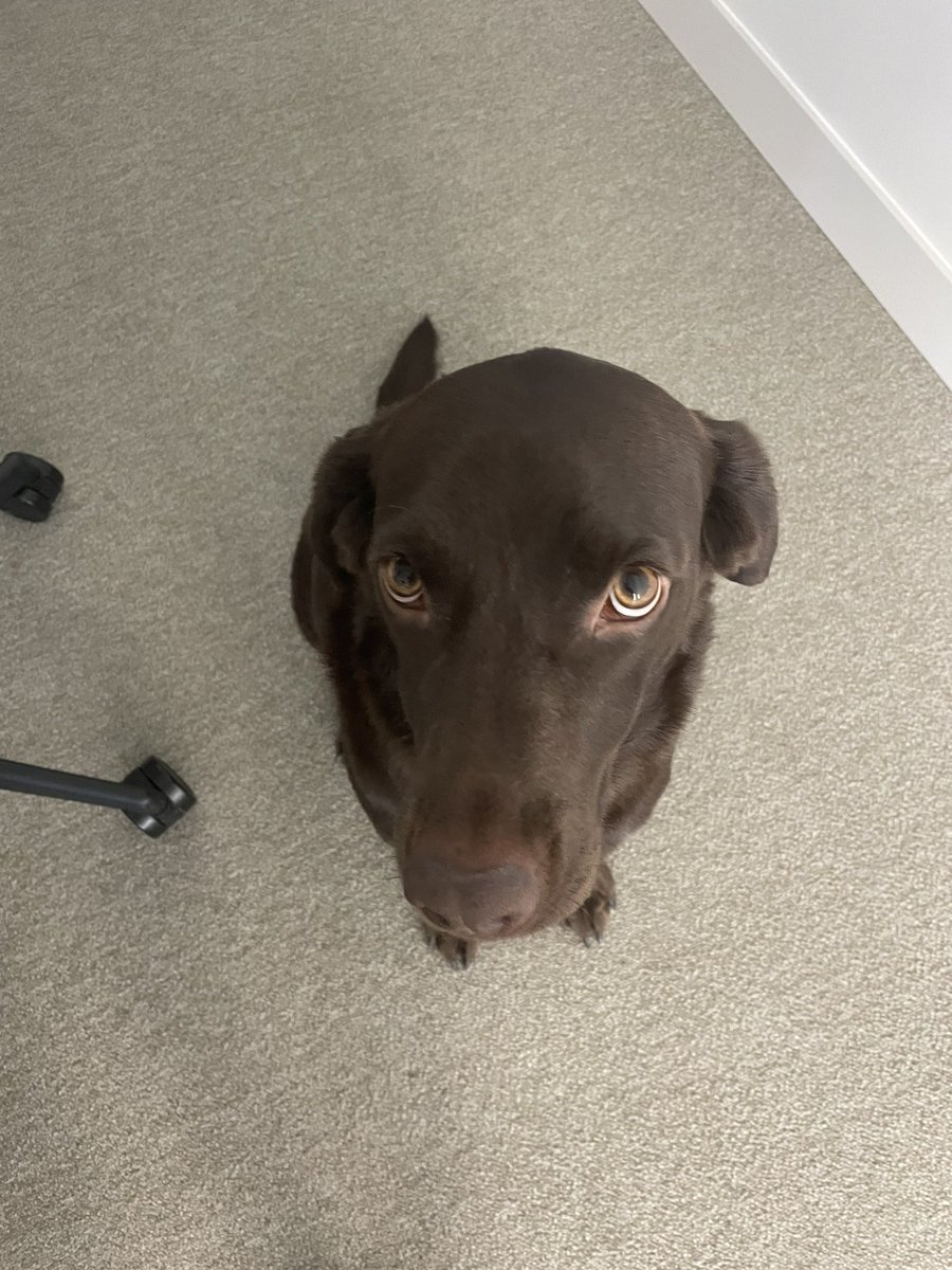 Sergio Garcia Moratilla tweet media