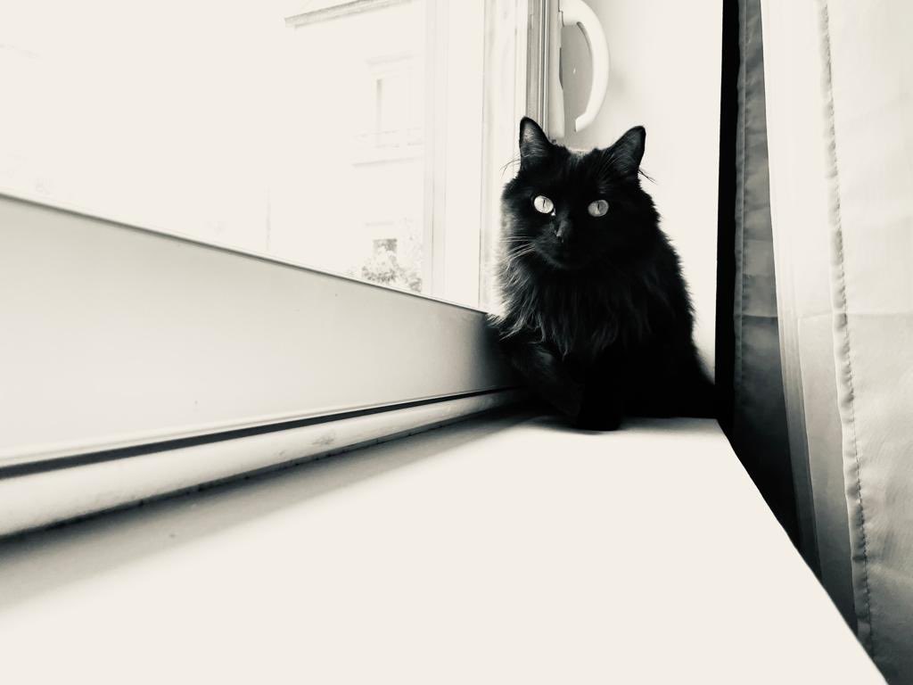 BPoupettes's tweet photo. Pour la zournée du ssat noir, voissi une belle photo de moi ke voissi https://t.co/xbxK98SVrb