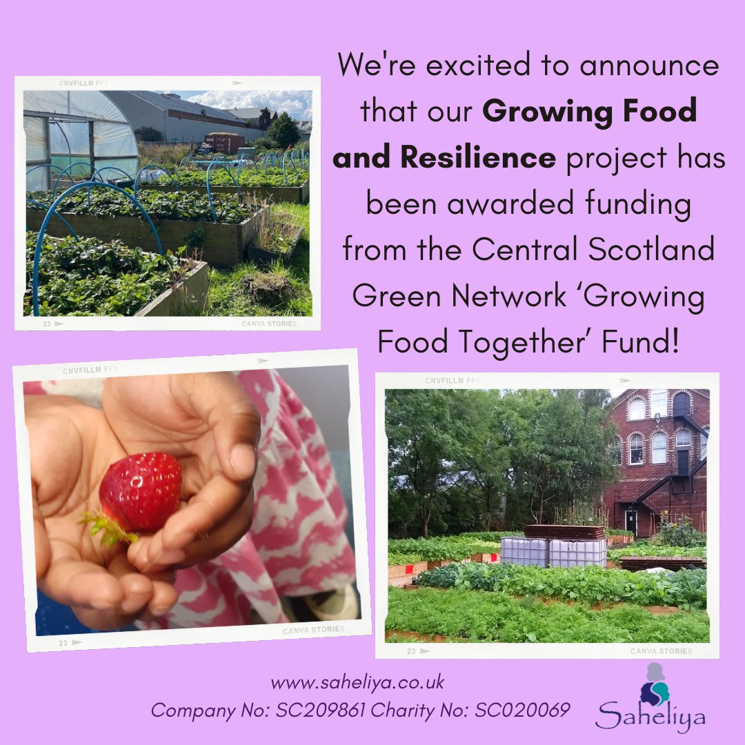 Saheliya tweet media