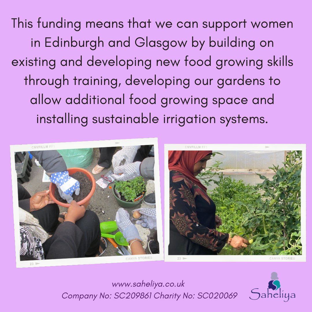 Saheliya (@saheliya) on Twitter photo We're excited to announce that our Growing Food and Resilience project has been awarded funding from <a href="/csgreennetwork/">Central Scotland Green Network</a> ‘Growing Food Together’ Fund!
See below for more info and how this helps us support women in #Edinburgh and #Glasgow 👇🍓🍎🥬 We're excited to announce that our Growing Food and Resilience project has been awarded funding from <a href="/csgreennetwork/">Central Scotland Green Network</a> ‘Growing Food Together’ Fund!
See below for more info and how this helps us support women in #Edinburgh and #Glasgow 👇🍓🍎🥬