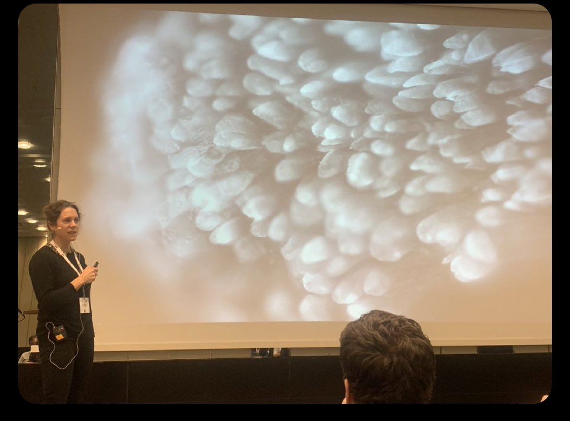 sportskongres's tweet photo. THROWBACK THURSDAY
The only beautiful of a torn muscle must be pictures like this and of course successfully rehabilitation. The picture appeared on the screen when @AbigailMackey1 presented on #Sportskongres2023 
#tbt https://t.co/yjbCcFU3wW