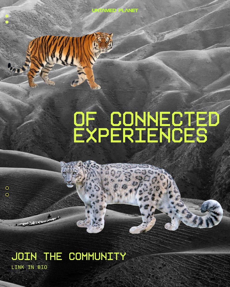 Untamed Planet (@untamed_planet) on Twitter photo Get early access to product launches, content, experiences, competitions, business news and more. 🔗 in bio --> <a href="/untamed_planet/">Untamed Planet</a> Get early access to product launches, content, experiences, competitions, business news and more. 🔗 in bio --> <a href="/untamed_planet/">Untamed Planet</a>