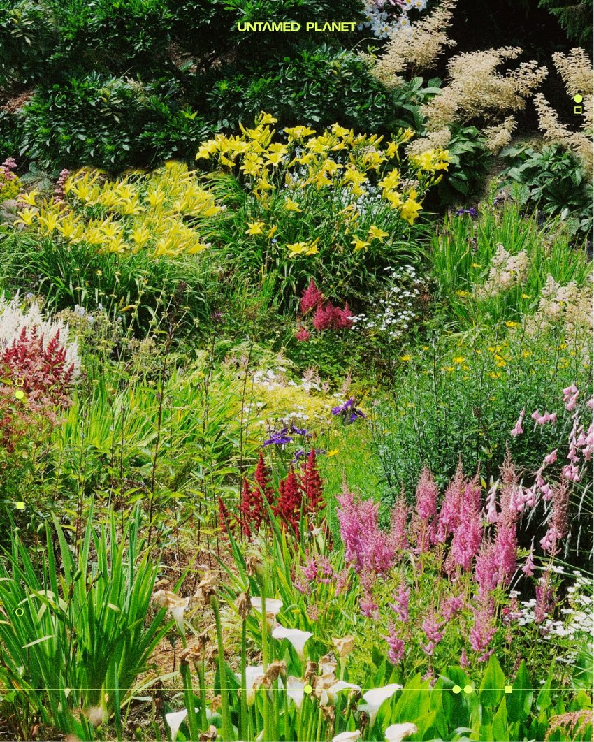Plants in your garden release natural chemicals called phytoncides, which can boost your mood and decrease anxiety.
