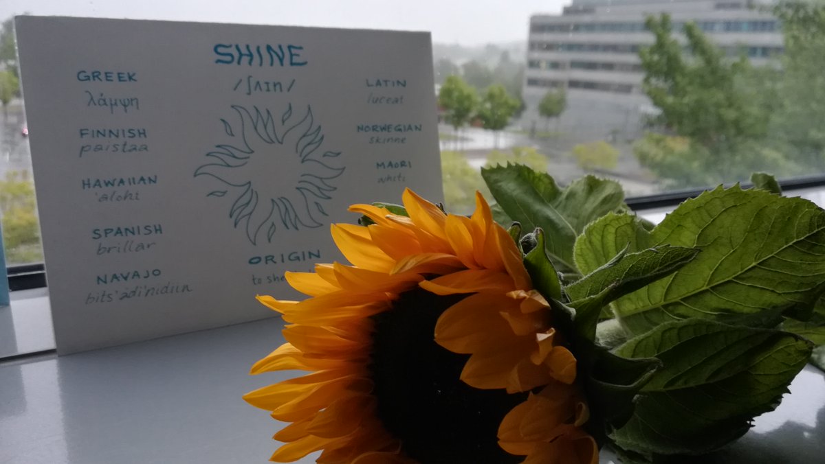 mariewpreston's tweet photo. This illustration has special meaning for me. I created it for my most favourite person in the world, @Soldrevet, who's storming back from a surprising stroke. Shine is now in my shops—get your own version to brighten your window.
1/2 https://t.co/hJeIixQ8KC