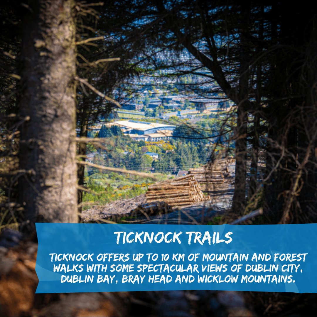 DLRTourism's tweet photo. Embark on a hiking adventure! 🌳🌄
Ticknock trails located in the Dublin Mountains, 3k from Sandyford provide up to 10 km of scenic mountain and forest walks with breathtaking views of Dublin City, Dublin Bay, Bray Head, and the Wicklow Mountains. 🏔️🚶♂️
#DLRtourism #visitdlr https://t.co/AZxXBM8DPg