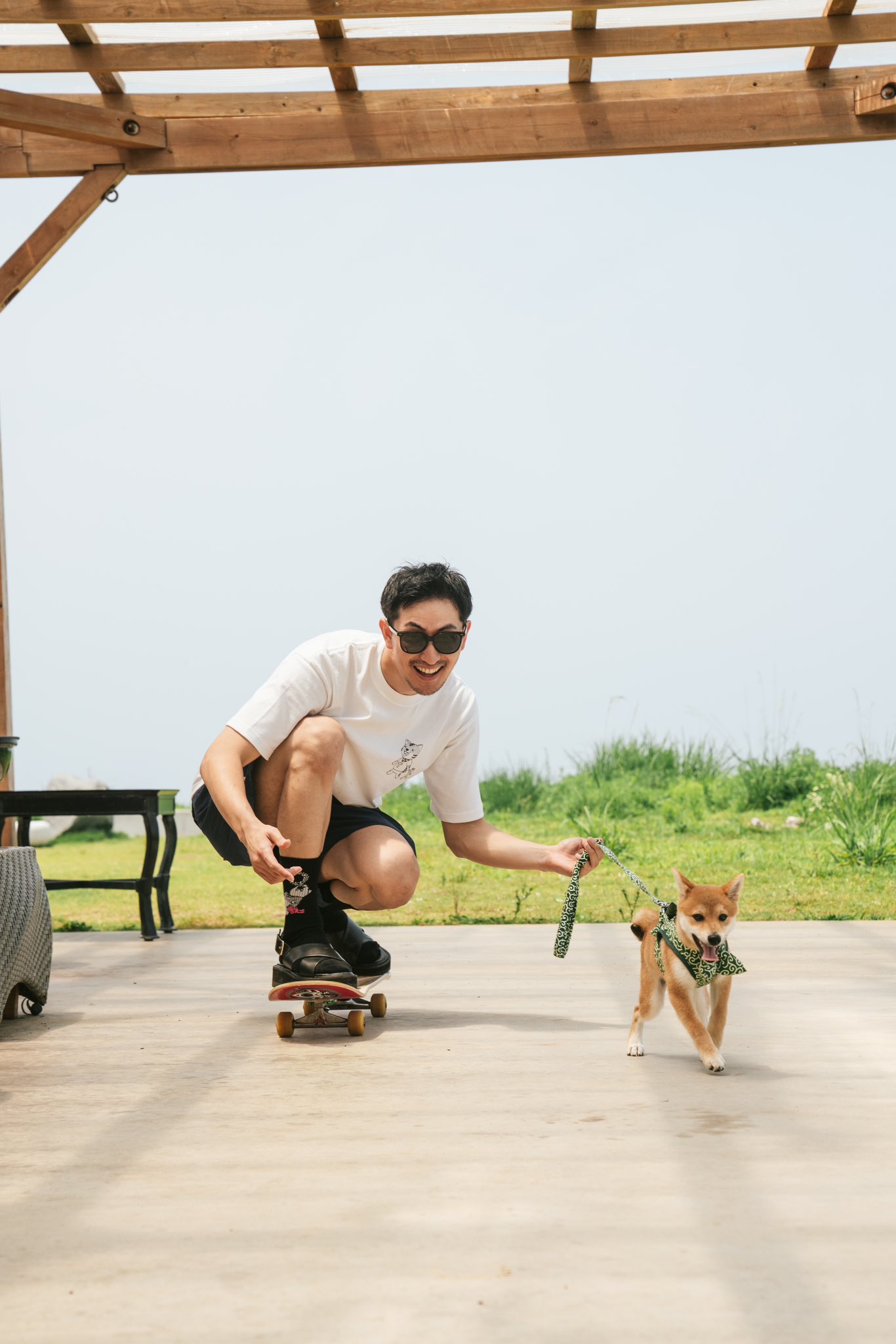 とても珍しい　仔犬の伊万里 mqdefault.jpg