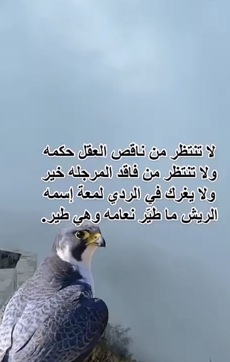 noor0390's tweet photo. https://t.co/S2PA0PDTr5