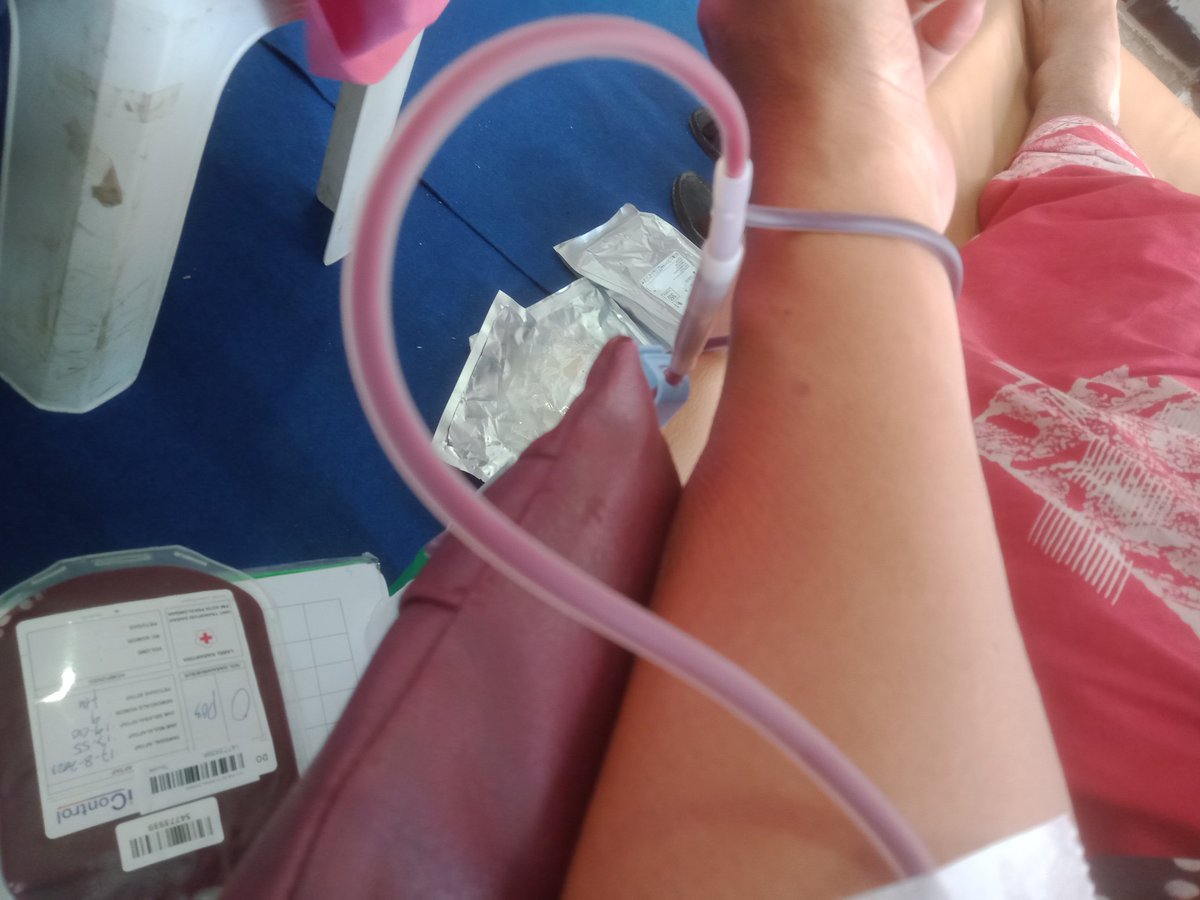 ariefwick's tweet photo. Tumpah darah untuk meraih kemerdekaan
Tumpah darah untuk menolong sesama
๐ฎ๐ฉ M E R D E K A
#dondar #donordarah #pmi #palangmerahindonesia #17agustus #harikemerdekaan #independenceday2023 #indonesia #Tetepsarunganbatik https://t.co/N6hkkBvd8B