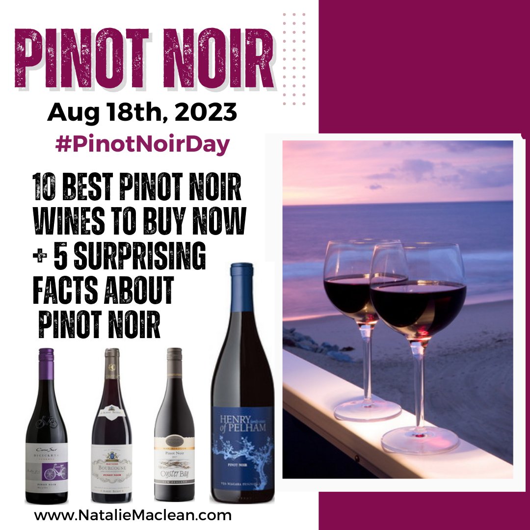 What are the 10 Best #PinotNoir Wines to Buy Now + 5 Surprising Facts about Pinot Noir❓

nataliemaclean.com/blog/videos/be…

Do you have a favourite Pinot Noir❓

#Natdecants #NationalPinotNoirDay #pinotnoir #wine #pinotnoirday #winereviews #top10 @ConoSurWines @HenryofPelham