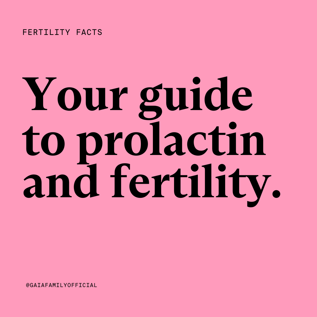 wearegaiafamily's tweet photo. Have you heard of prolactin? Your doctor might have told you they’d like to test yours as part of your fertility investigations. 

Here’s all the essential information you need to know about prolactin. 🧡 

#fertilitytesting #fertilityawareness https://t.co/uM4rDB4MUx