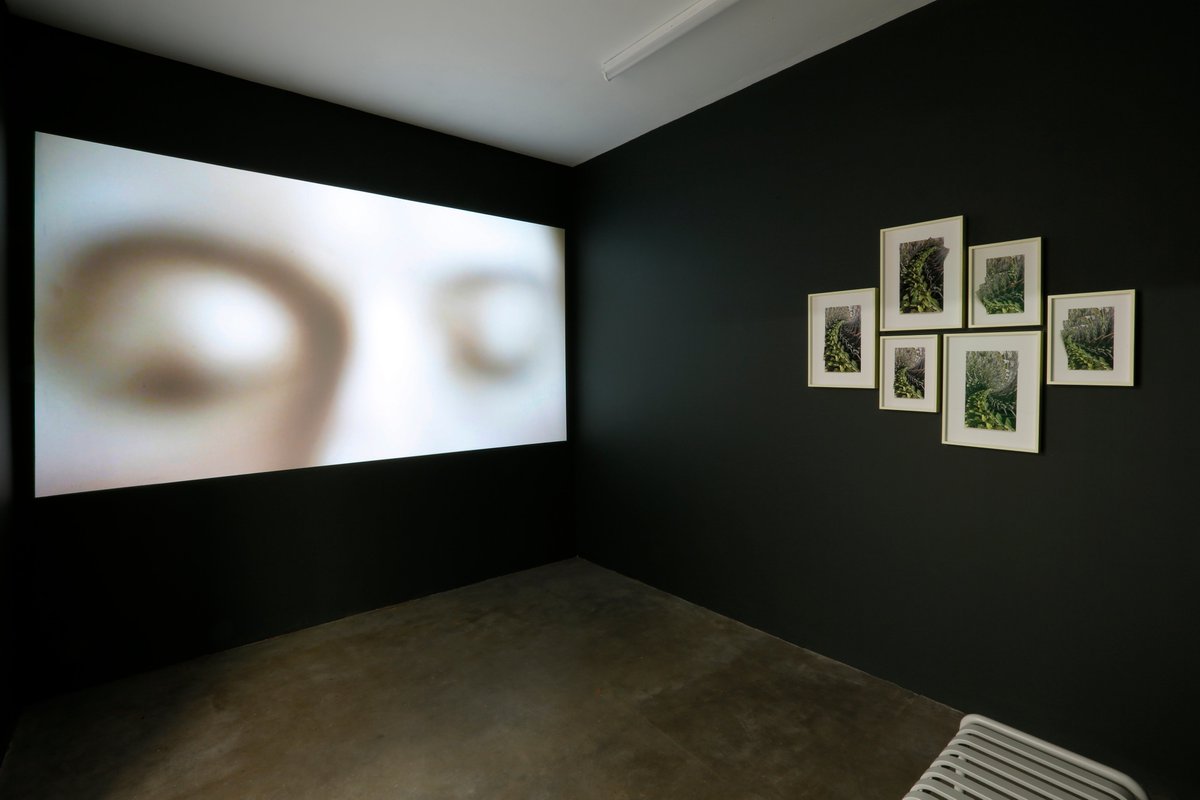 Jo Longhurst “Here, Now” <a href="/StudioVoltaire/">Studio Voltaire</a> London, curated by Lisa Slominski runs till 10 September. 

Open Wednesday–Sunday, 10 am–5 pm. 

link in bio to learn more
online in-conversation, Aug 30
in-person event info to follow