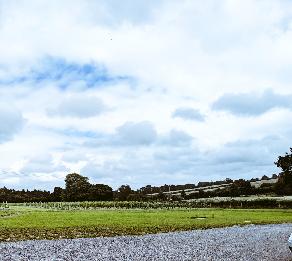 Fran (@franini_daze) on Twitter photo Longbarn (just outside Alresford) and the tasting barn at <a href="/RaimesSparkling/">Raimes Sparkling</a> (Hinton Ampner) make for a fabulous #Hampshire day out. They're so close you can do both in one day
#Hampshireuk #wimchesteruk Longbarn (just outside Alresford) and the tasting barn at <a href="/RaimesSparkling/">Raimes Sparkling</a> (Hinton Ampner) make for a fabulous #Hampshire day out. They're so close you can do both in one day
#Hampshireuk #wimchesteruk