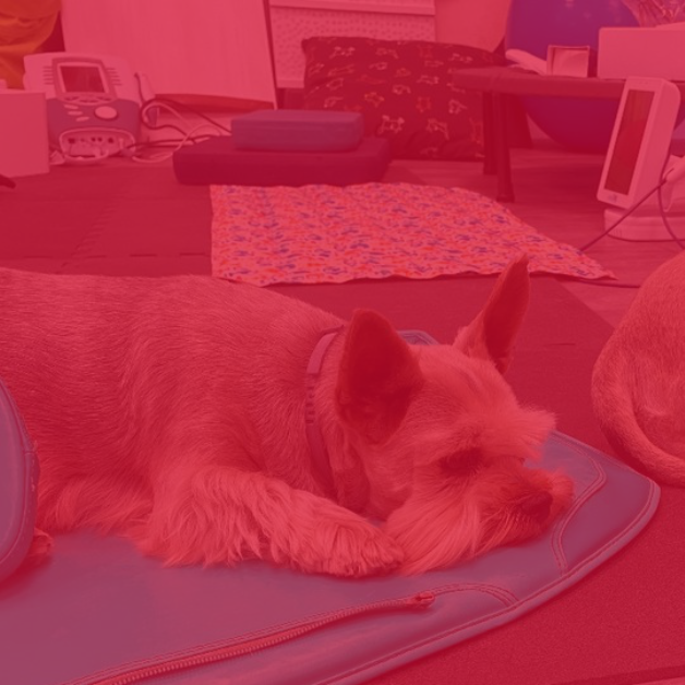 A2LaboratorioDeIdeas tweet media