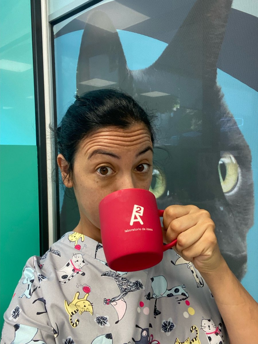 A2LaboratorioDeIdeas tweet media