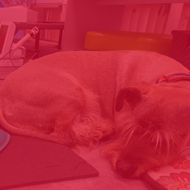 A2LaboratorioDeIdeas tweet media