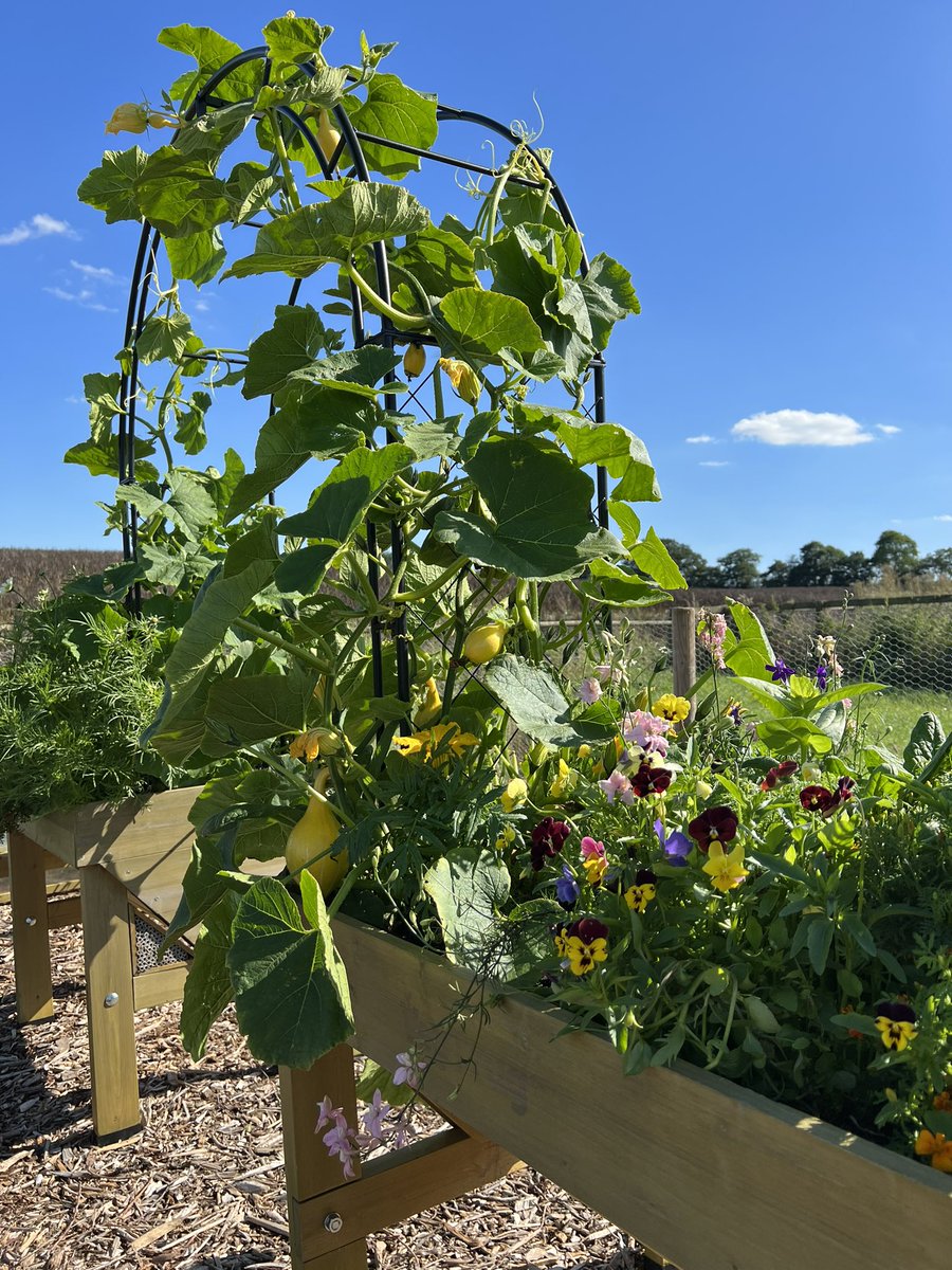 VegTrug Limited tweet media