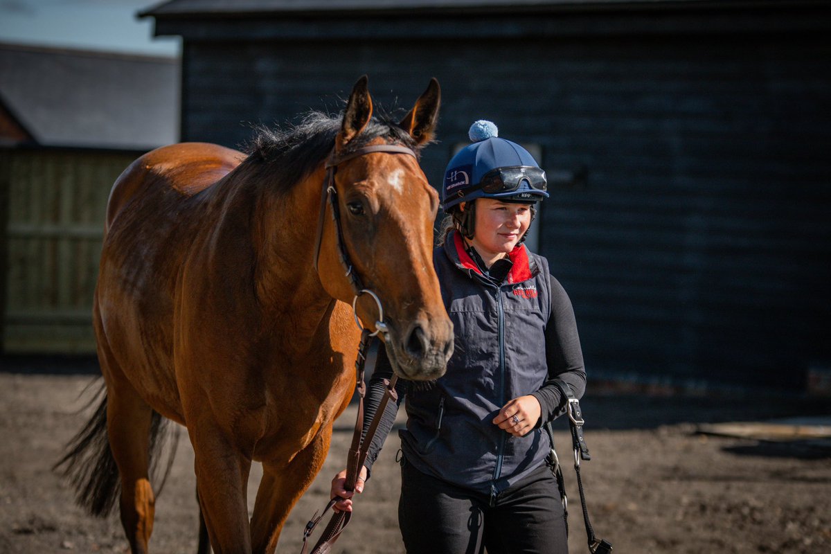 Our Racing Club horse Nordic Tiger is back in training ahead of the upcoming NH season. Our first stable visit takes place next Sat 26th August, where you can meet Nordic Tiger and see him on the gallops. To find out more and buy your membership visit: harryderhamracing.com/harry-derham-r…
