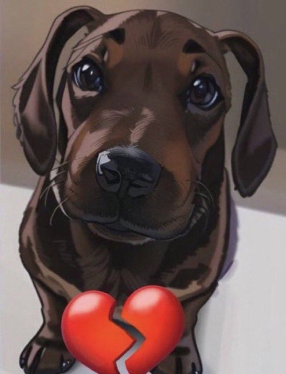 honestpendudog2's tweet photo. @MrBerkGuy https://t.co/eS4gjsT7Is