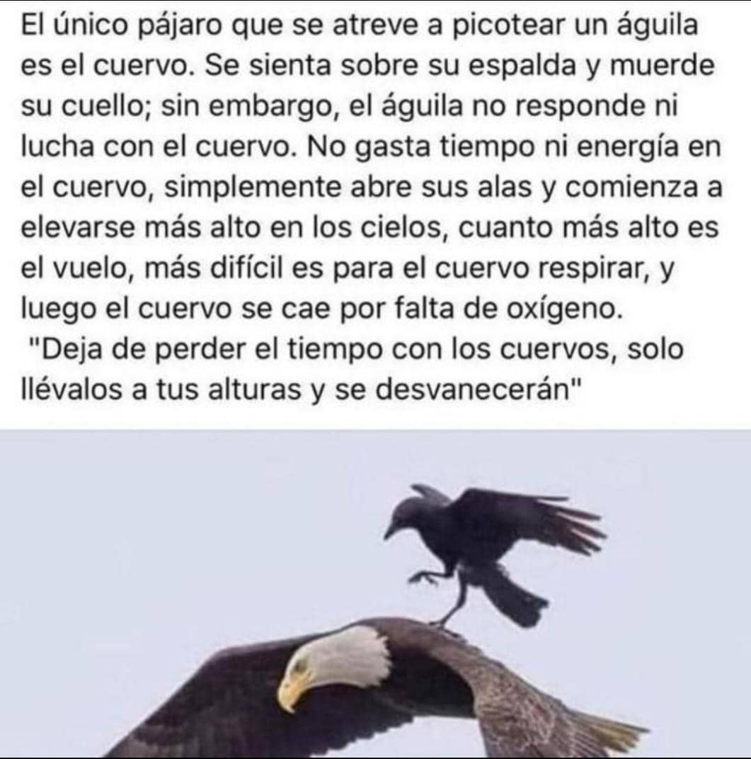 Marvin Mijares tweet media