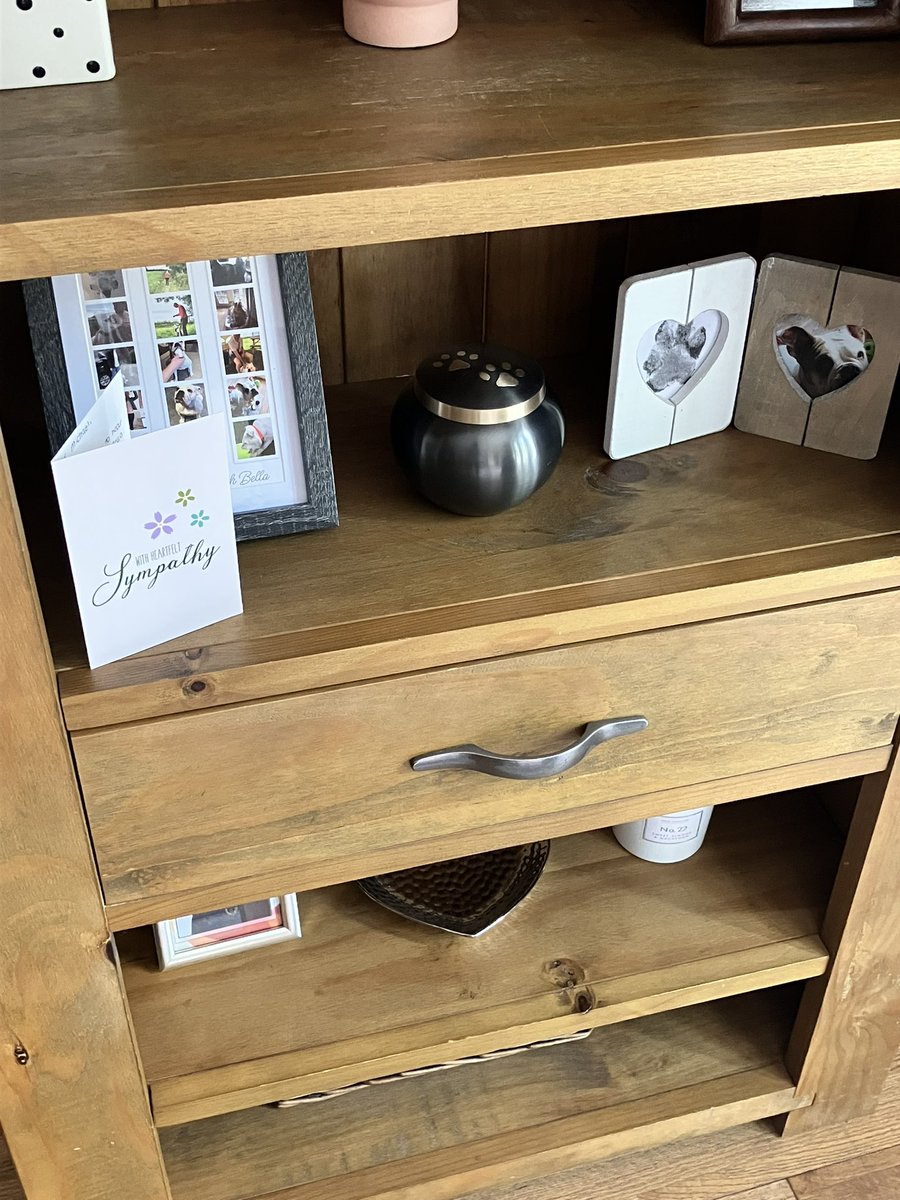 Michael Fitzpatrick tweet media