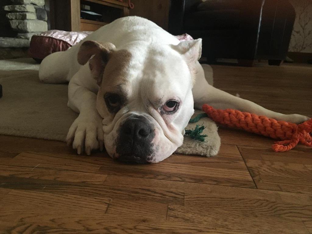 Michael Fitzpatrick tweet media