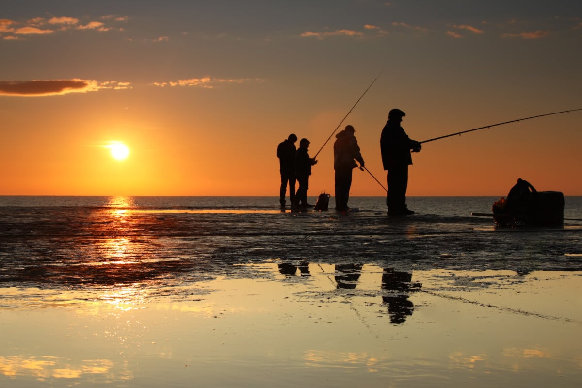 Pesca Huelva tweet media