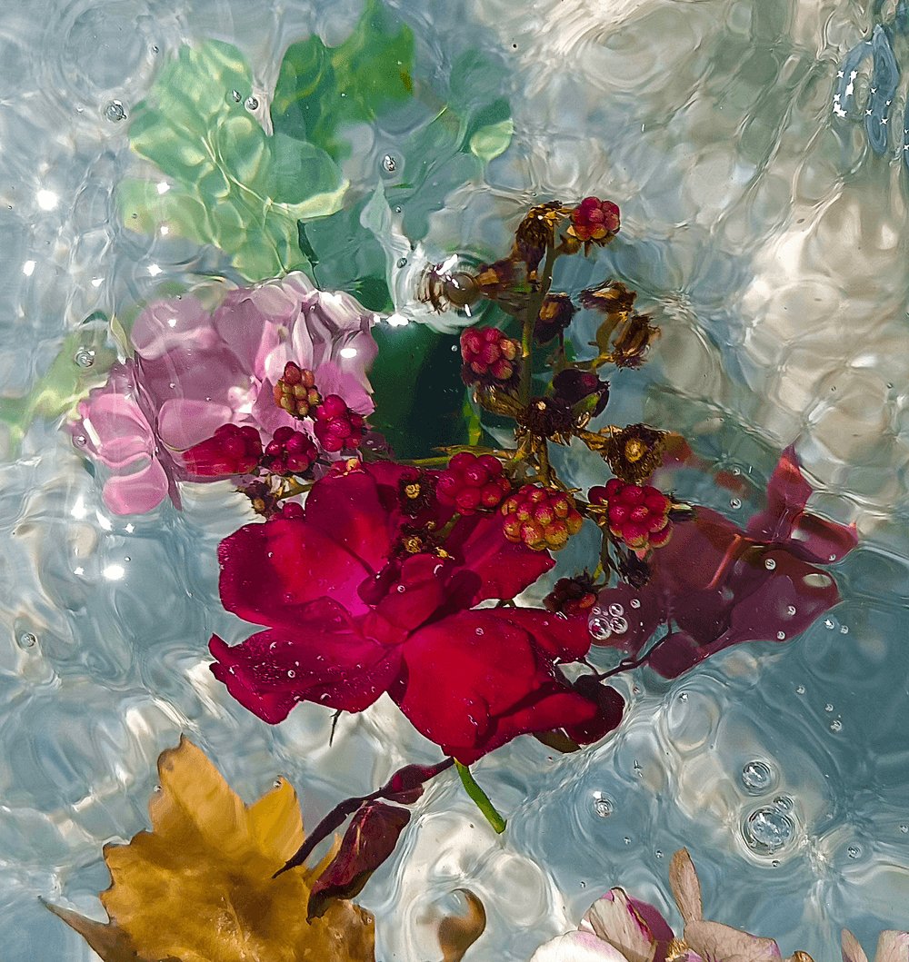 NFTdropart's tweet photo. #Abstract #abstractart #photography #rose #nft #NFTs #nftcreator #NFTartist #NFTCollection #NFTsForSale #nftsale #NFTdrop

Nature's Molten Symphony: Rose and Blackberry in Aquatic Fusion
https://t.co/kfm1tCtStj https://t.co/PLzNh4W8KF