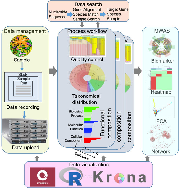 iMetaScience's tweet photo. MicroEXPERT: Microbiome profiling platform with cross-study metagenome-wide association analysis functionality
#Bioinformatics #metagenomics #microbiome #association #guthealth 
@wileymicrobio @WileyHealth @WileyBiomedical 
https://t.co/mkgYegIhWO https://t.co/QOT4WliAcI