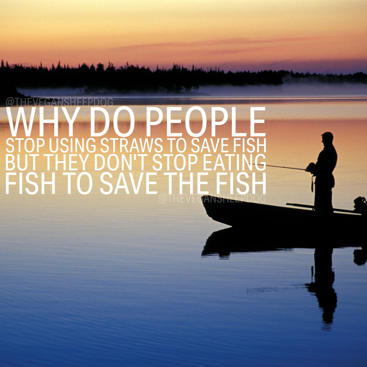 I'd highly recommend that you check out the documentary called <a href="/seaspiracy/">seaspiracy</a> - Maybe it will open up your eyes to what you can do to save the fish ( stop eating them would be a good place to start )
#fish #fishing #savethefish #banstraws #straws #planet #oceans #turtles #sharks