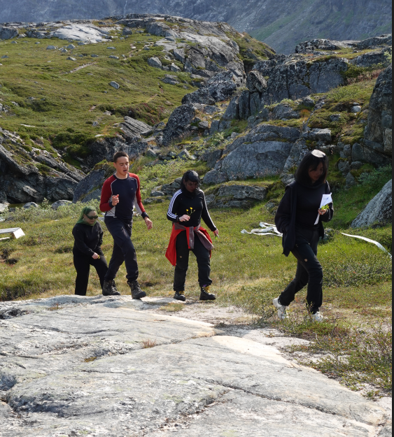 Greenland Ecosystem Monitoring tweet media