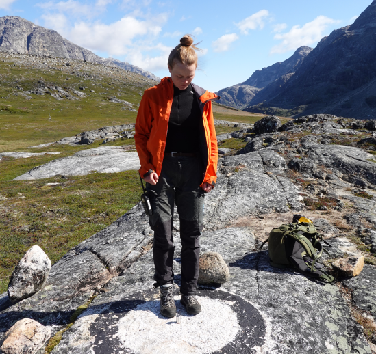 Greenland Ecosystem Monitoring tweet media