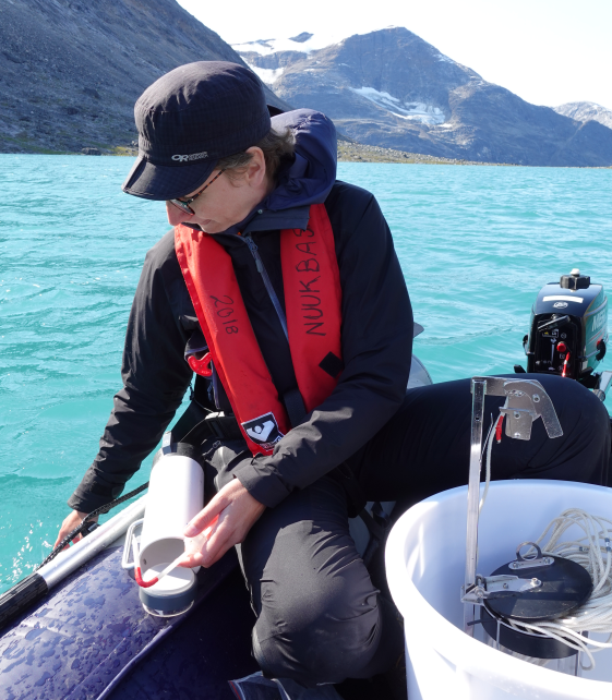 Greenland Ecosystem Monitoring tweet media