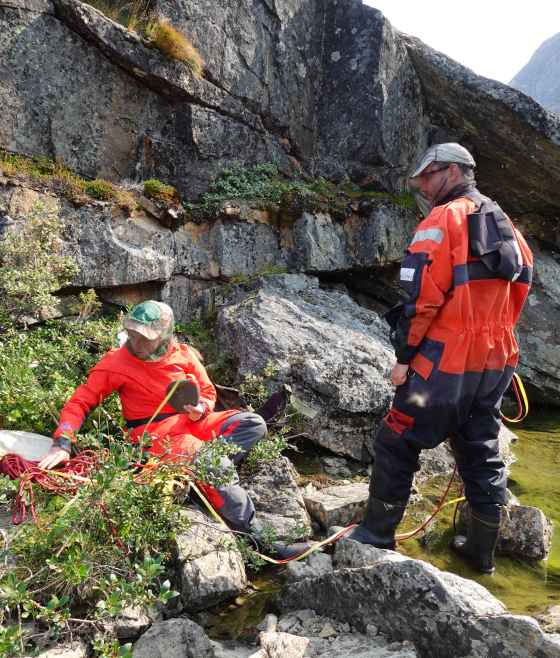 Greenland Ecosystem Monitoring tweet media
