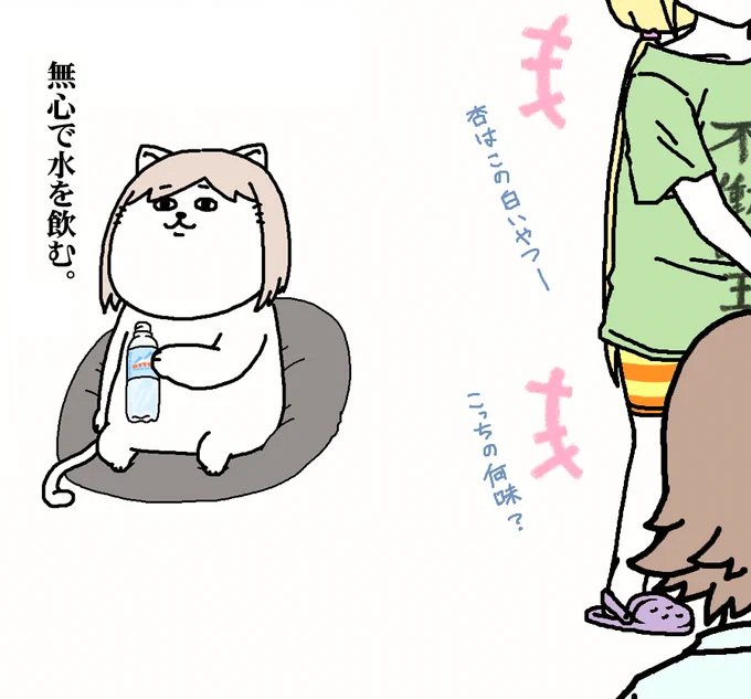 【日刊たのしい前川】
好きなお菓子を一つだけ取って良いとなった時、悩みに悩んで結局どれも選ばない時がある前川 