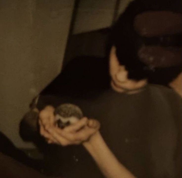 𝙟𝙚𝙡𝙡𝙮 • semi ia tweet media