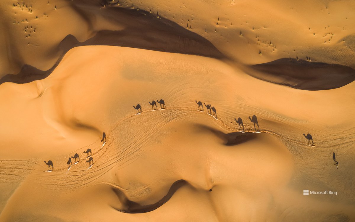 #UnitedArabEmirates #EmiradosÁrabesUnidos #Desert #Deserto #Camel #Camelo #Nature #Natureza #Bing 
#GetReady 
#JesusIsComingSOON 
#GodBlessYou 
#PrepareSe 
#BREVEJesusVoltará 
#DeusTeAbençoe
