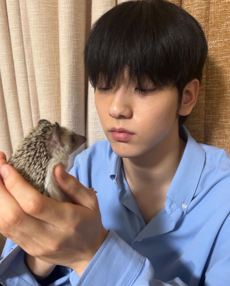 csbshour's tweet image. rest in peace, odi. thank you for making soobin happy! you were well loved and had the best father ever ❤️