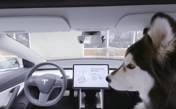 Masoud1173's tweet photo. @elonmusk I remember you bought a shiba dog on your last trip to Japan.
Buy a malamute for your son X on this trip.

#Japan #Milo #Shiba #Malamute https://t.co/J4n3K6ur8v
