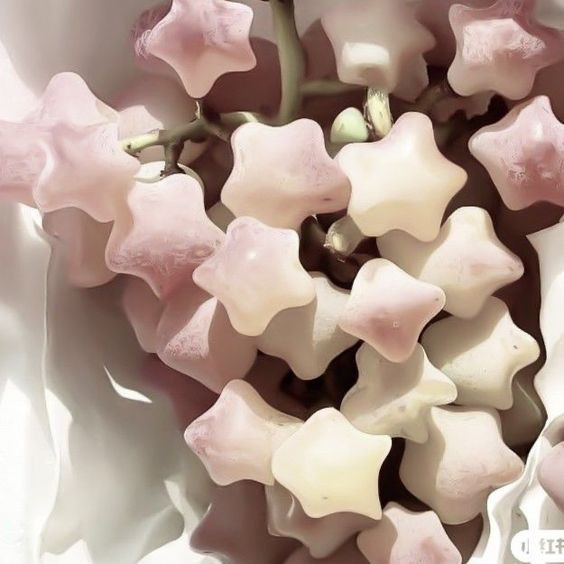 𓆡 | inactivo tweet media