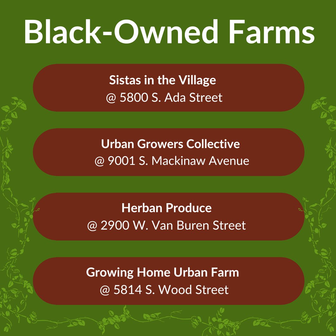 Chicago Food Policy  tweet media