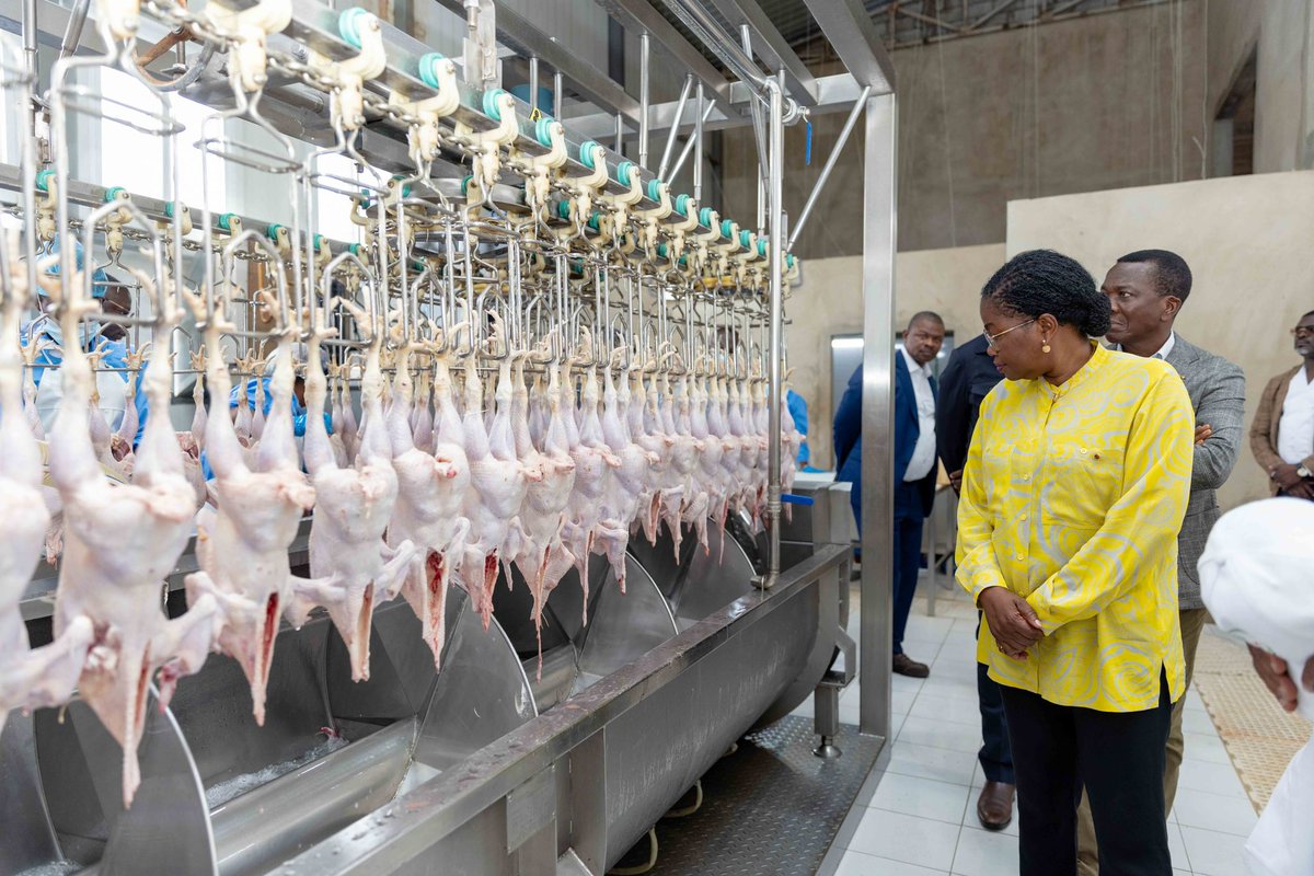DogbeVictoire's tweet photo. J'ai visité jeudi dernier les installations de la société #Togolaise Dabas, qui intervient sur la chaîne de valeur avicole. 

Une heureuse initiative que nous saluons.

Produire ce que nous consommons, telle est notre ambition conformément à la vision du PR @FEGnassingbe . https://t.co/mK8W109GRt