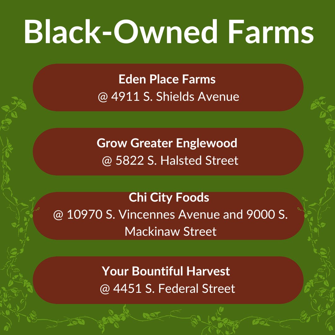 Chicago Food Policy  tweet media