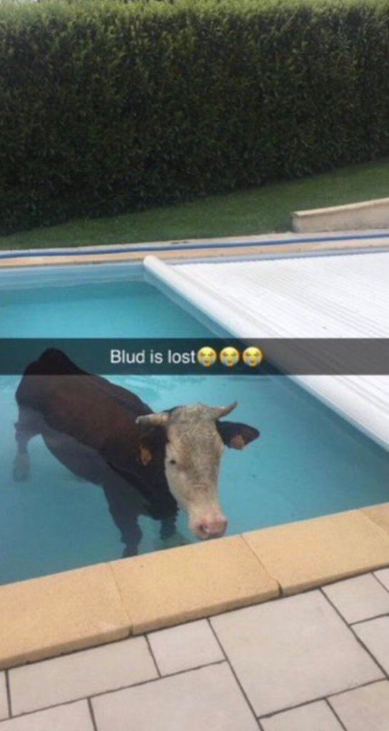 Proper Loud Music tweet media